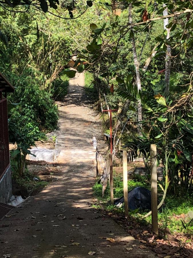 Casa Encantada Offers You Two-Bedroom House, 1 Tiny Apartment & 3 Double Rooms Manuel Antonio Εξωτερικό φωτογραφία
