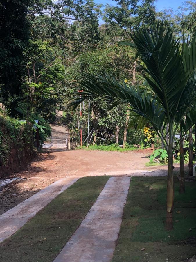 Casa Encantada Offers You Two-Bedroom House, 1 Tiny Apartment & 3 Double Rooms Manuel Antonio Εξωτερικό φωτογραφία