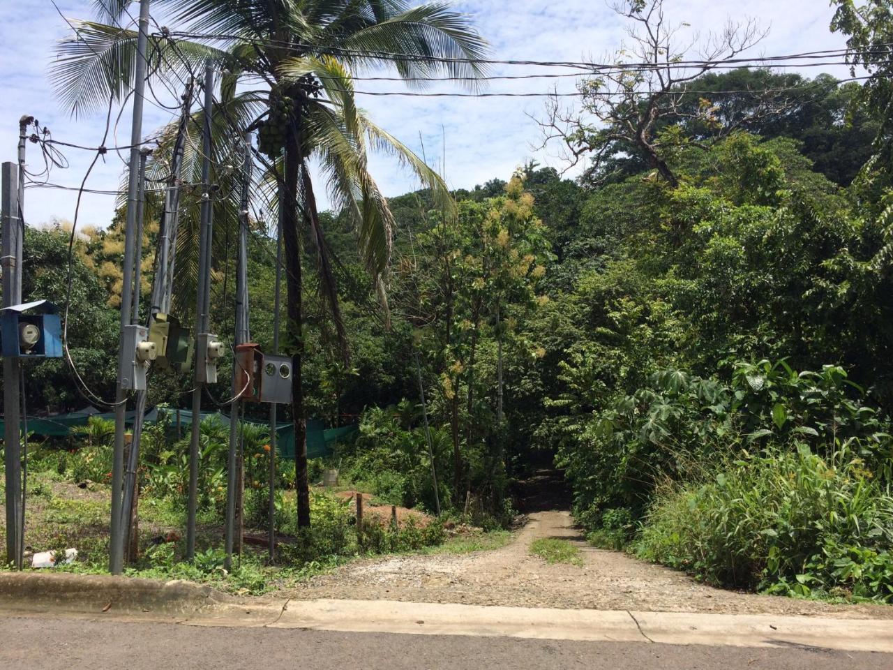 Casa Encantada Offers You Two-Bedroom House, 1 Tiny Apartment & 3 Double Rooms Manuel Antonio Εξωτερικό φωτογραφία